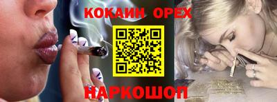 индика Можга