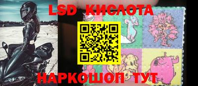 индика Можга