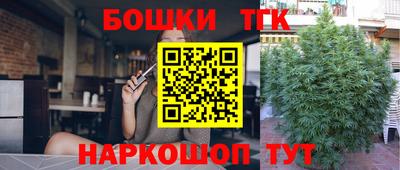 спиды Моздок