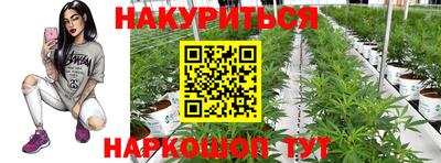индика Можга