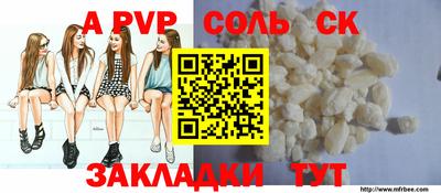 индика Можга