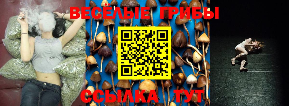 Галлюциногенные грибы GOLDEN TEACHER Шелехов